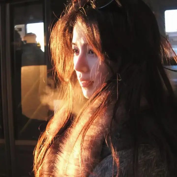 熊出没之雪岭熊风 海报