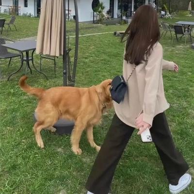 小小羊儿要回家 海报