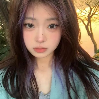 田教授家的28个保姆 海报